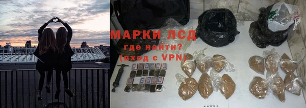 бошки Белокуриха